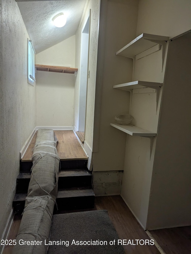 527 S Charles St, Lansing, MI 48912 - spacious closet with wood finished floors and vaulted ceiling