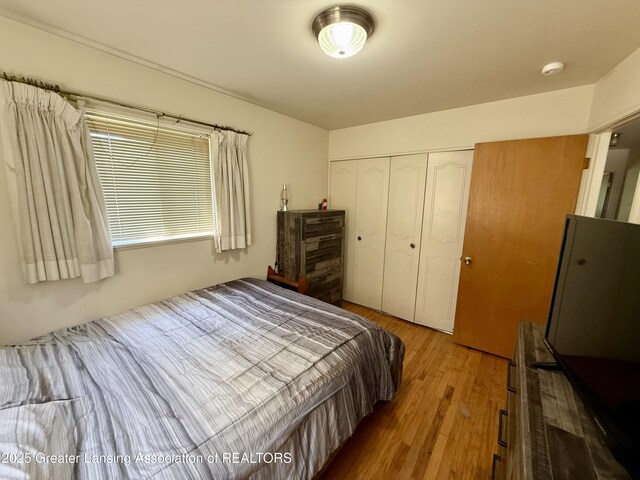 3618 Alpine Dr, Lansing, MI 48911 - bedroom featuring wood finished floors and a closet