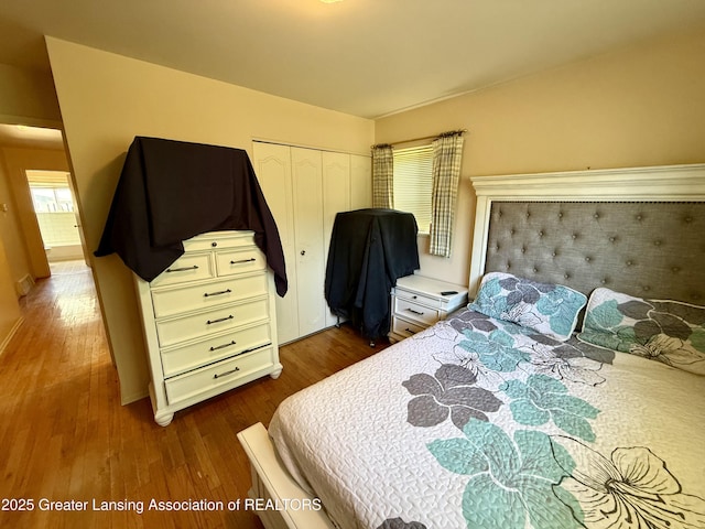 3618 Alpine Dr, Lansing, MI 48911 - bedroom featuring dark wood-type flooring and a closet