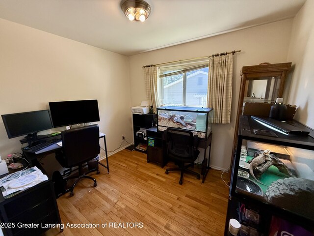 3618 Alpine Dr, Lansing, MI 48911 - office area featuring light wood-type flooring and baseboards