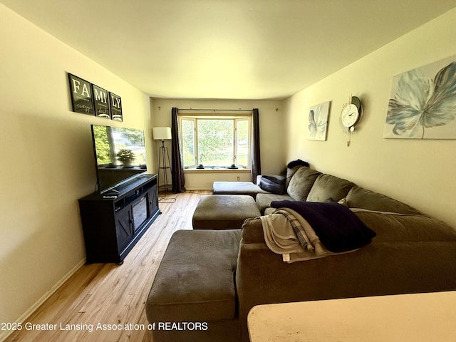 3618 Alpine Dr, Lansing, MI 48911 - living room with light wood-style flooring