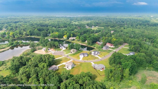 9655 Tobermory Dr, Haslett, MI 48840 - aerial view of property's location with a nearby body of water and a forest