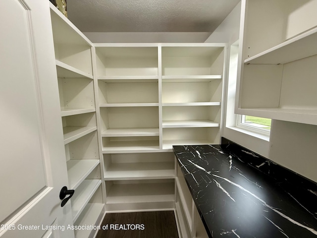 2964 Medinah Dr, Okemos, MI 48864 - photo 24
