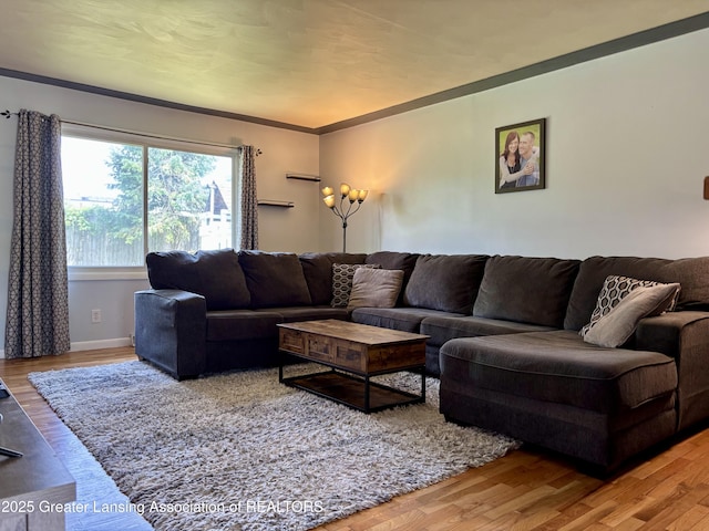 1023 E Colonial Park Dr, Grand Ledge, MI 48837 - living area with wood finished floors and baseboards