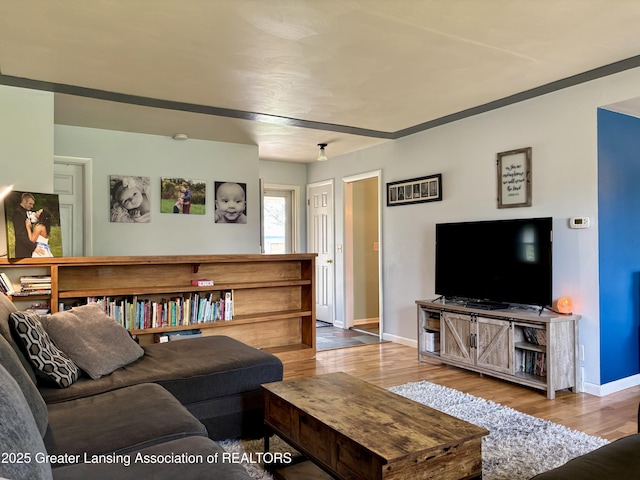 1023 E Colonial Park Dr, Grand Ledge, MI 48837 - living area featuring wood finished floors and baseboards