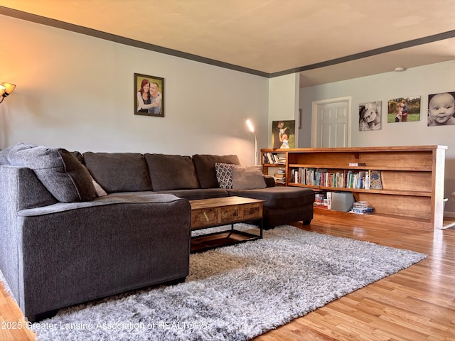 1023 E Colonial Park Dr, Grand Ledge, MI 48837 - living area featuring wood finished floors and ornamental molding