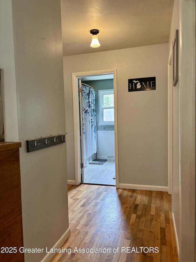 1023 E Colonial Park Dr, Grand Ledge, MI 48837 - hallway featuring wood finished floors and baseboards