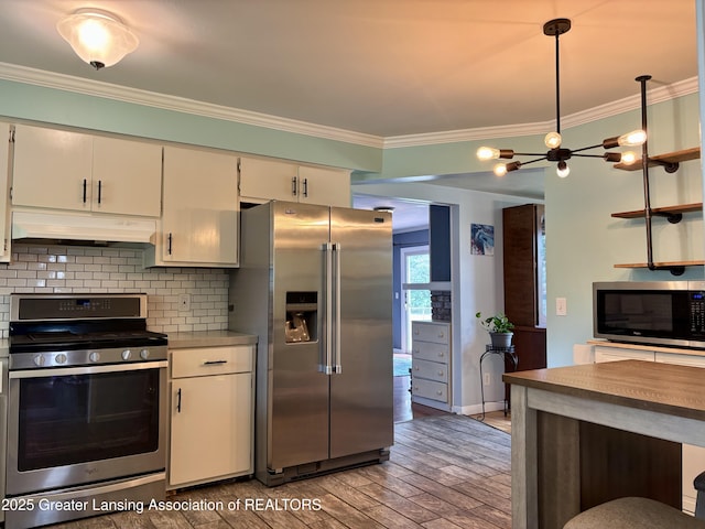 1023 E Colonial Park Dr, Grand Ledge, MI 48837 - kitchen with appliances with stainless steel finishes, under cabinet range hood, ornamental molding, light wood-type flooring, and backsplash