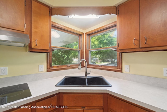 4803 Stafford Ave, Lansing, MI 48910
