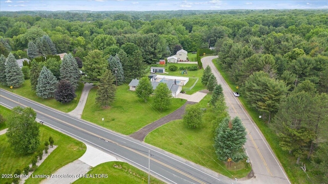 13543 Turner Rd, Dewitt, MI 48820 - photo 50