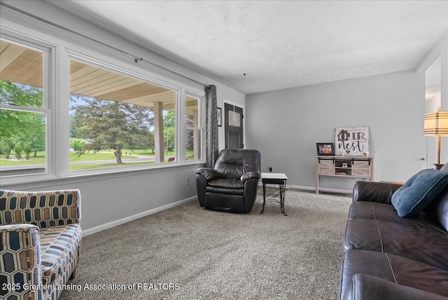13543 Turner Rd, Dewitt, MI 48820 - photo 12