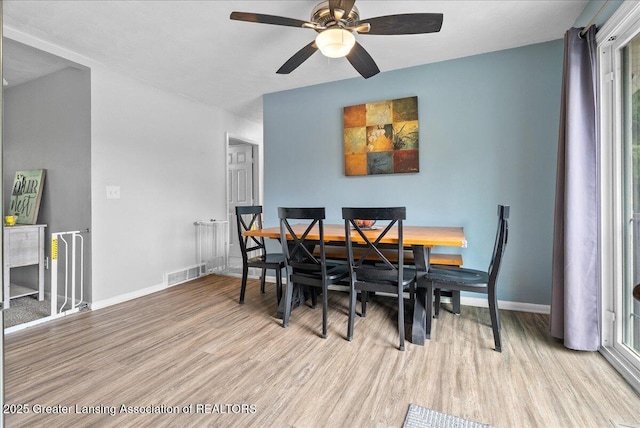 13543 Turner Rd, Dewitt, MI 48820 - photo 17