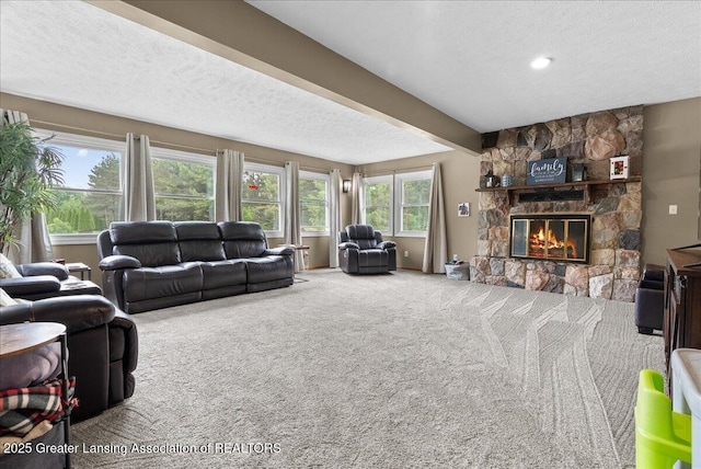 13543 Turner Rd, Dewitt, MI 48820 - photo 19