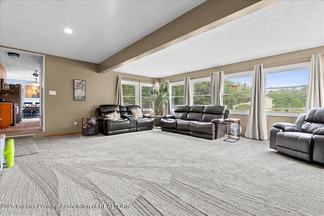 13543 Turner Rd, Dewitt, MI 48820 - photo 20