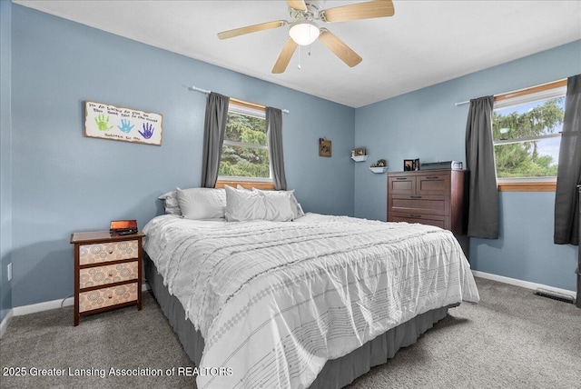 13543 Turner Rd, Dewitt, MI 48820 - photo 28