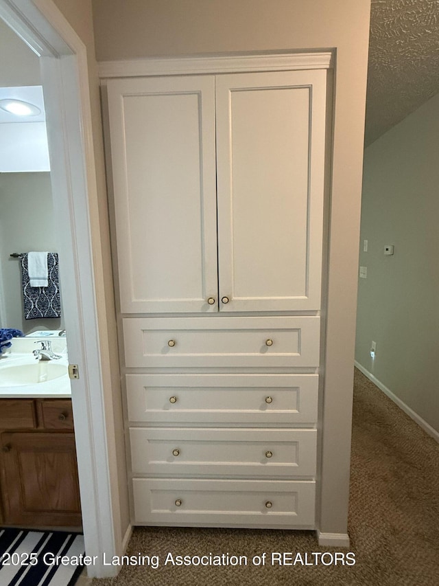 3508 Muirfield Dr, Lansing, MI 48911 - photo 18