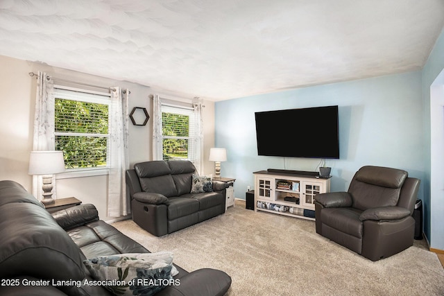 813 W Main St, Grand Ledge, MI 48837 - photo 8