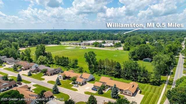 541 Red Cedar Blvd, Williamston, MI 48895 - photo 29