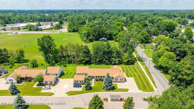 541 Red Cedar Blvd, Williamston, MI 48895 - photo 31