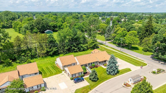 541 Red Cedar Blvd, Williamston, MI 48895 - photo 32