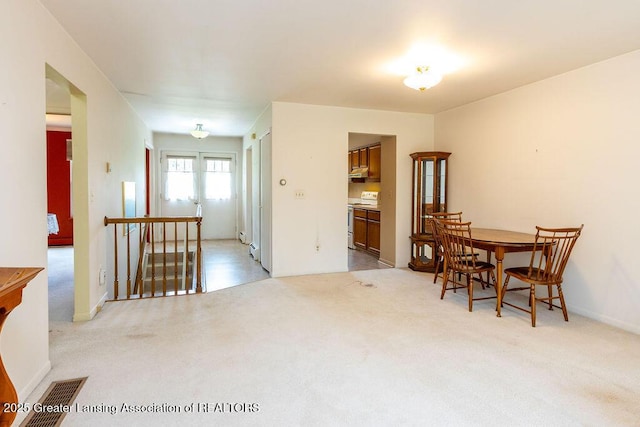 541 Red Cedar Blvd, Williamston, MI 48895 - photo 11