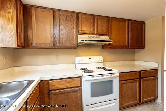 541 Red Cedar Blvd, Williamston, MI 48895 - photo 14
