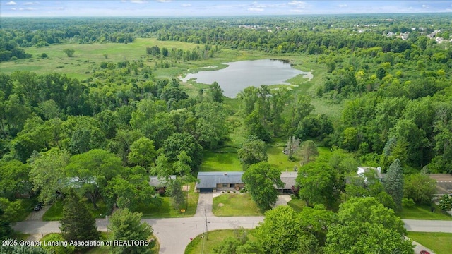 1395 Biscayne Way, Haslett, MI 48840 - aerial view of property and surrounding area featuring a nearby body of water and a forest