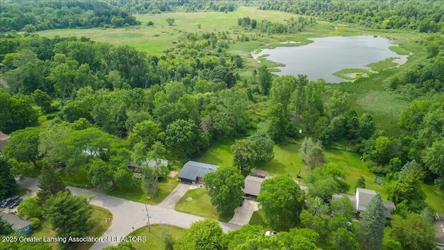 1395 Biscayne Way, Haslett, MI 48840 - drone / aerial view of a large body of water and a forest