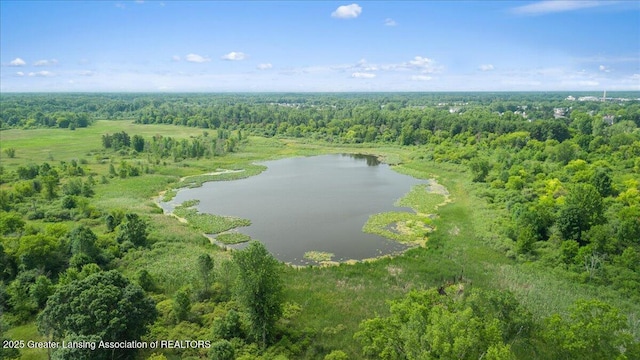 1395 Biscayne Way, Haslett, MI 48840 - aerial view of a forest and a nearby body of water