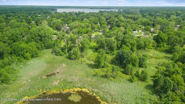 1395 Biscayne Way, Haslett, MI 48840 - aerial view of property's location with a large body of water