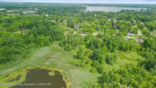 1395 Biscayne Way, Haslett, MI 48840 - bird's eye view of a nearby body of water