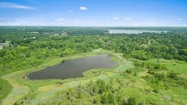 1395 Biscayne Way, Haslett, MI 48840 - drone / aerial view of a large body of water and a forest