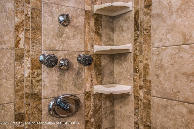 10696 W Clark Rd, Eagle, MI 48822 - bathroom view of tiled shower