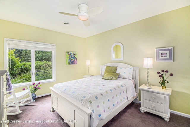 10696 W Clark Rd, Eagle, MI 48822 - bedroom featuring dark colored carpet and a ceiling fan