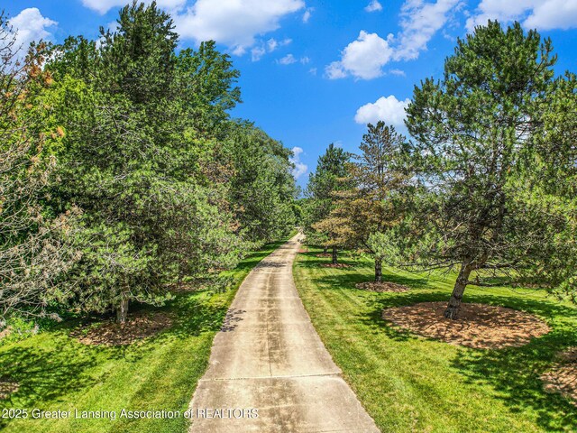 10696 W Clark Rd, Eagle, MI 48822 - view of road