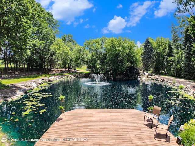 10696 W Clark Rd, Eagle, MI 48822 - view of dock