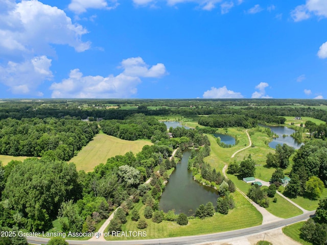10696 W Clark Rd, Eagle, MI 48822 - drone / aerial view of a nearby body of water and a heavily wooded area