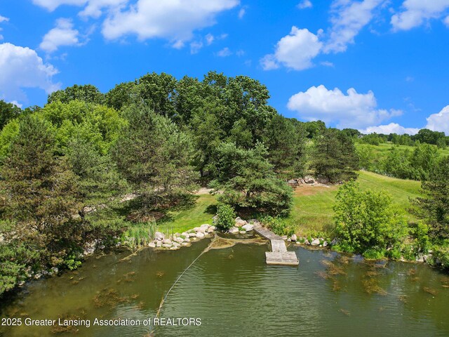 10696 W Clark Rd, Eagle, MI 48822 - bird's eye view