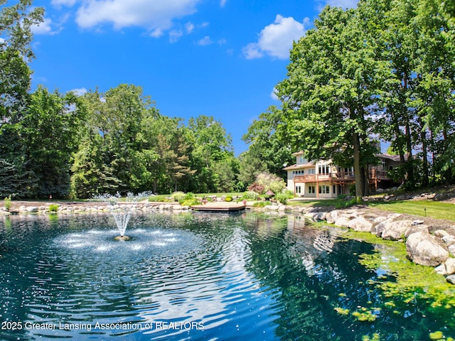 10696 W Clark Rd, Eagle, MI 48822 - water view