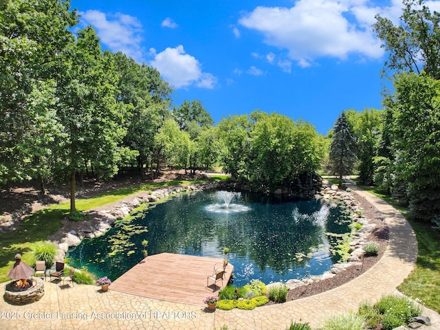 10696 W Clark Rd, Eagle, MI 48822 - water view with a garden pond and a fire pit