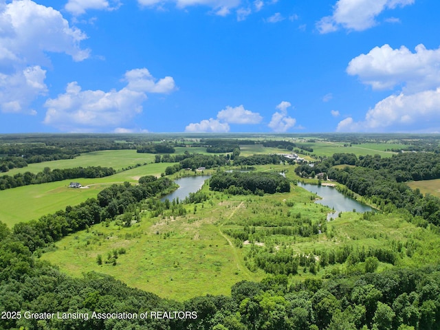 10696 W Clark Rd, Eagle, MI 48822 - bird's eye view of a large body of water