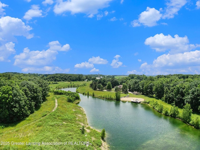 10696 W Clark Rd, Eagle, MI 48822 - drone / aerial view of a large body of water and a forest