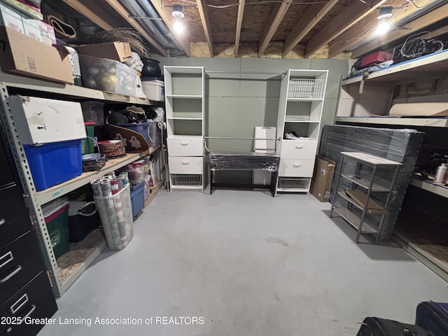 2665 Allium Dr, Holt, MI 48842 - view of storage area