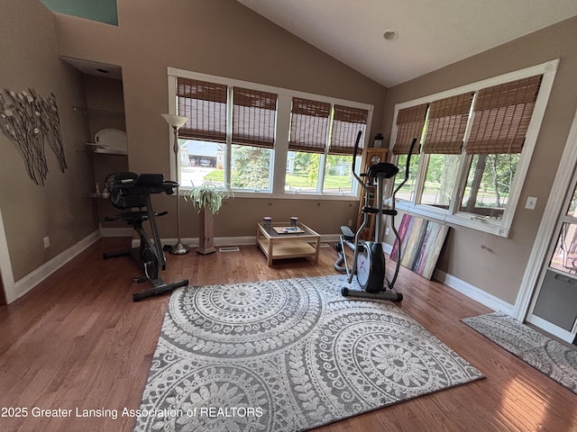 2665 Allium Dr, Holt, MI 48842 - exercise room featuring wood finished floors and lofted ceiling
