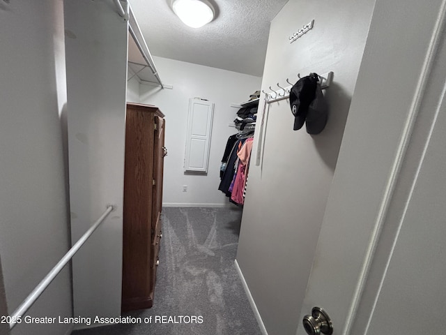 2665 Allium Dr, Holt, MI 48842 - walk in closet with carpet