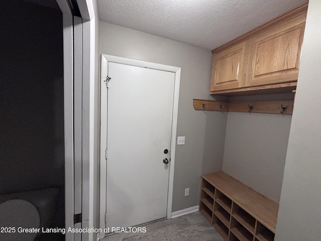 2665 Allium Dr, Holt, MI 48842 - mudroom featuring a textured ceiling