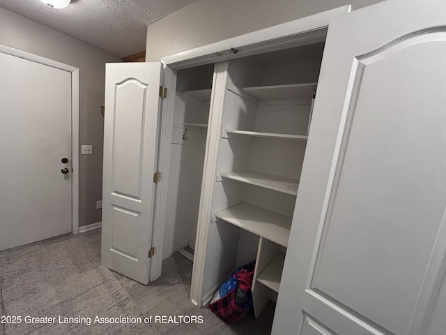 2665 Allium Dr, Holt, MI 48842 - view of closet