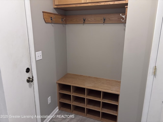 2665 Allium Dr, Holt, MI 48842 - mudroom with baseboards