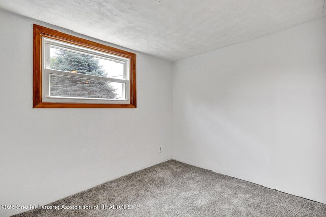 321 Lamb St, Perry, MI 48872 - empty room with carpet