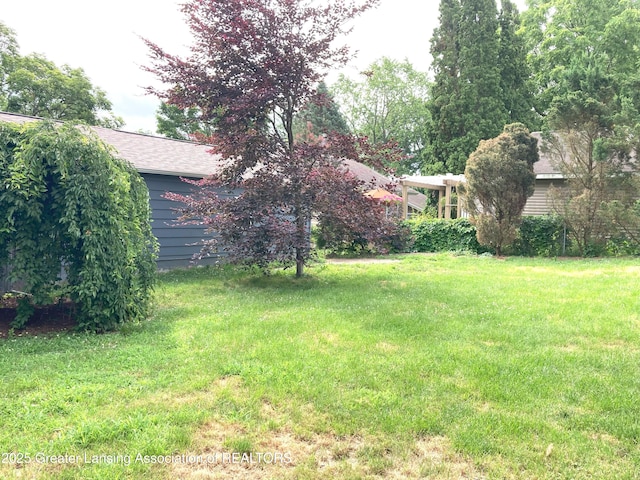 500 Spring St, Grand Ledge, MI 48837 - view of green lawn
